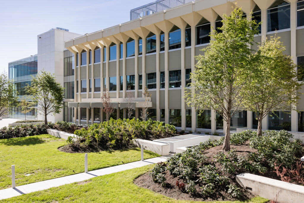 Outdoor courtyard and exterior of commercial spaces at Comma King George.